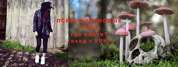 МДПВ Бугульма